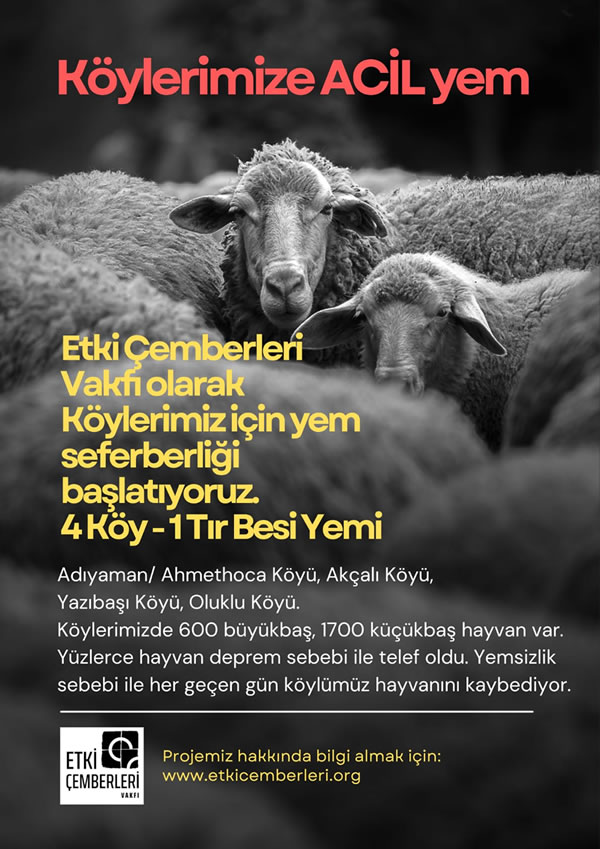 Etki Çemberleri Vakfı